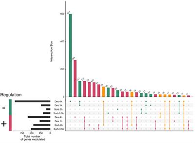 Responses to Hydric Stress in the Seed-Borne Necrotrophic Fungus <mark class="highlighted">Alternaria brassicicola</mark>